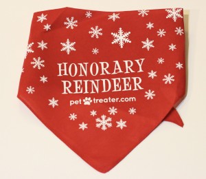 Handkerchief from December Pet Treater Box - The Homespun Chics