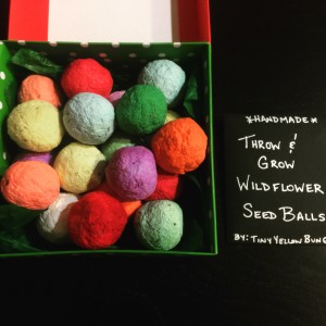 Tiny Yellow Bungalow Christmas Seed Balls