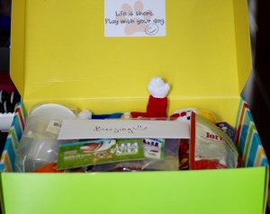 First Peek of January Pet Treater Box - The Homespun Chics