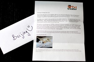 Beijing's Letter in January Pet Treater Box - The Homespun Chics