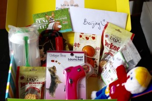 Open January Pet Treater Box - The Homespun Chics