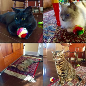 December Crazy CatLadyBox. Cats + Crinkle Ball. The Homespun Chics