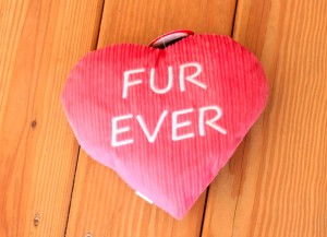 Fur Ever Heart