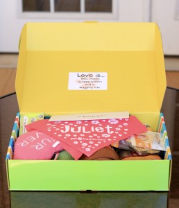 Open February Pet Treater box