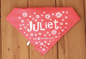 Juliet Handkerchief