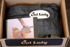 January 2016 Crazy CatLadyBox First Peek