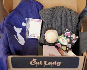 January 2016 Crazy CatLadyBox Display