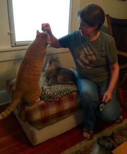 2016-03-19 13.20.09 (1)