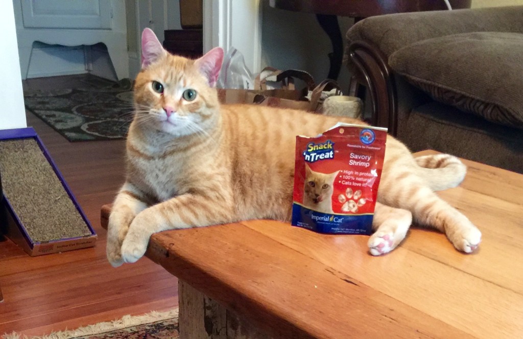 2016-03-19 13.37.30 (1)