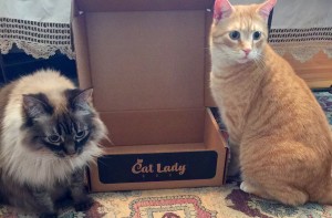 2016-03-19 13.50.19 (1)