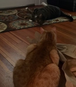 2016-03-19 13.51.34 (1)