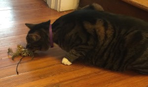 2016-03-19 13.54.21 (1)