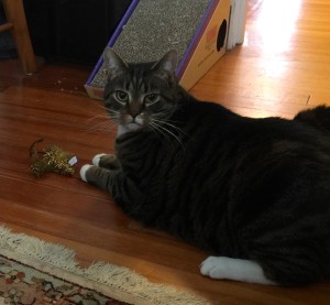 2016-03-19 13.56.47 (1)