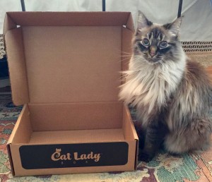 2016-03-19 13.58.55 (1)