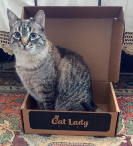 2016-03-19 14.01.53 (1)