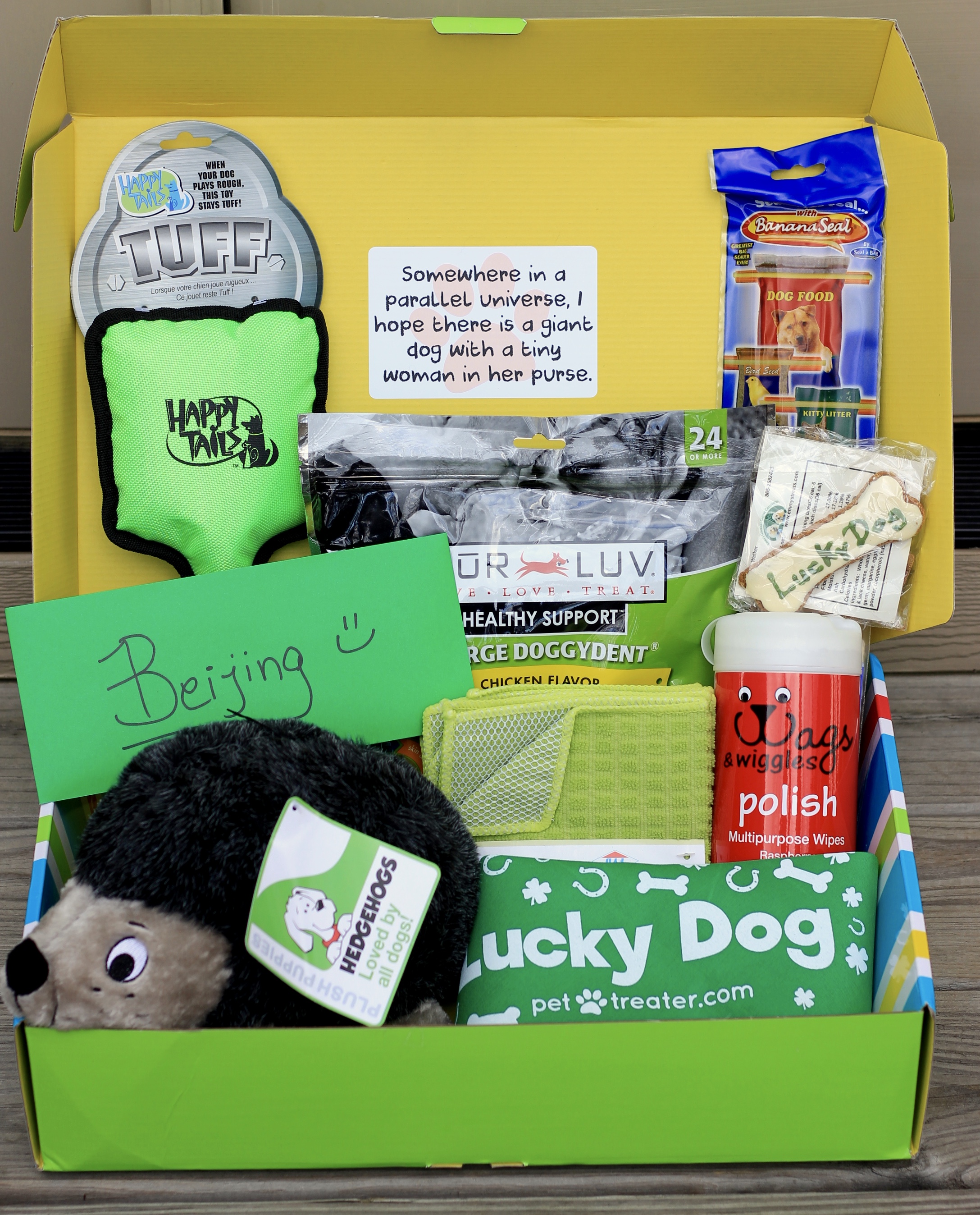 pet treater box