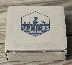 February 2016 Our Little Roots box