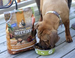 Beijing enjoying her Rachael Ray Nutrish dog food