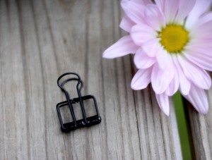 19mm Black Skeleton Clip