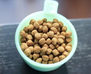 Rachael Ray Nutrish dog food 