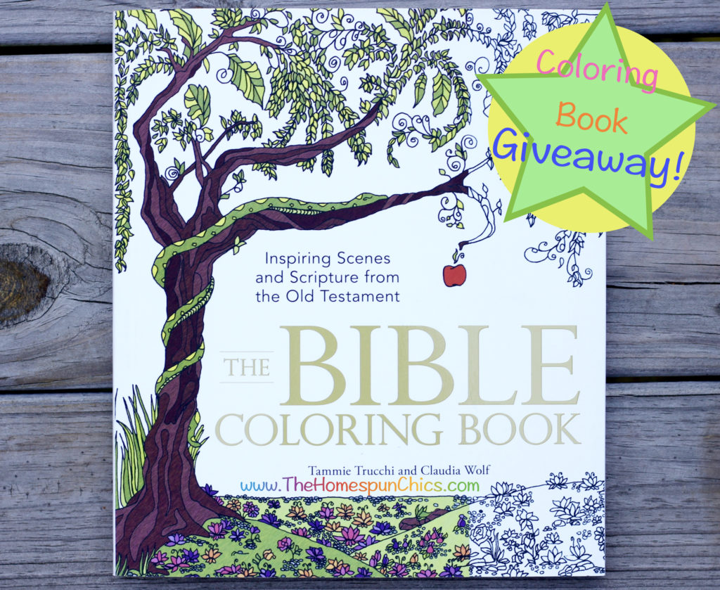 2016.05 The Bible Coloring Book Giveaway