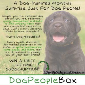 DogPeopleBox Promo pic