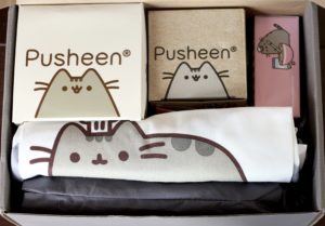 Pusheen Box Spring 2016 closer look