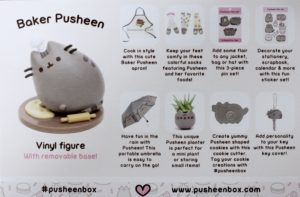 Pusheen Box Spring 2016 info card