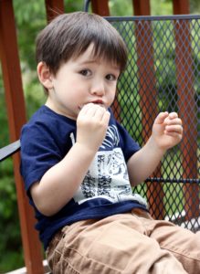 Little G enjoying a Caveman Cookie