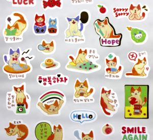 Close-up Korean cat stickers