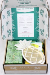 June 2016 Luxily Boutique Box first peek