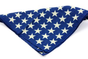 Pet Treater patriotic bandana