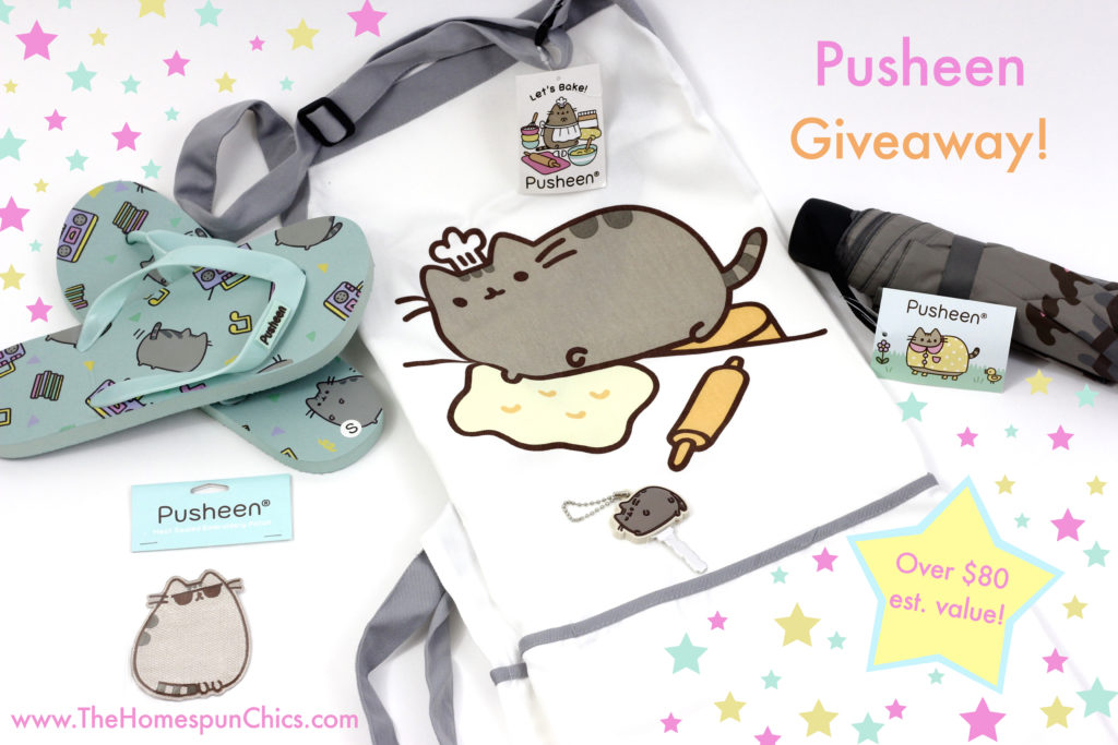 2016.08 Pusheen Giveaway