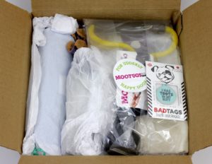 July 2016 DogPeopleBox first peek