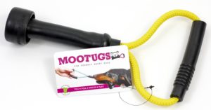 Mootug dog toy