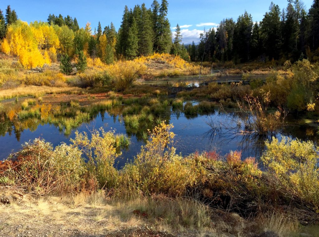 2016-09-19-grand-teton-np4