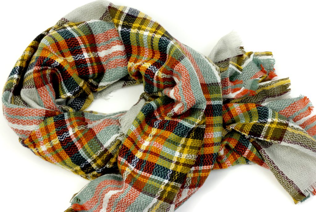 Revel Box - The Scarf Chic plaid scarf