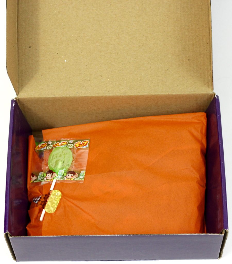 Stickii Club Halloween Special Edition Box first peek