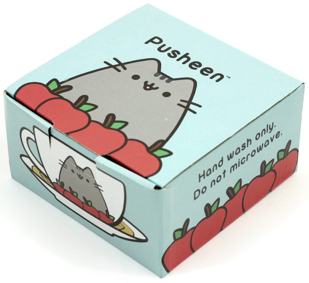 Pusheen Box Fall 2016 Tea Cup & Saucer box