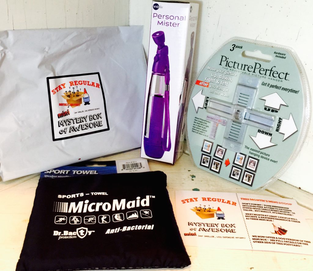 May 2017 Mini Monthly Mystery Box of Awesome Review The Homespun Chics