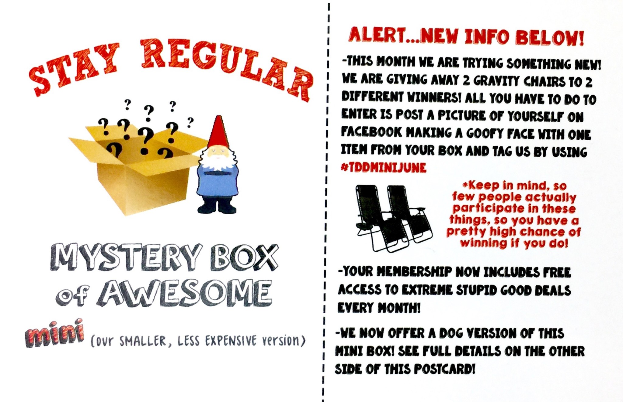 June 2017 Mini Monthly Mystery Box of Awesome Review The Homespun Chics