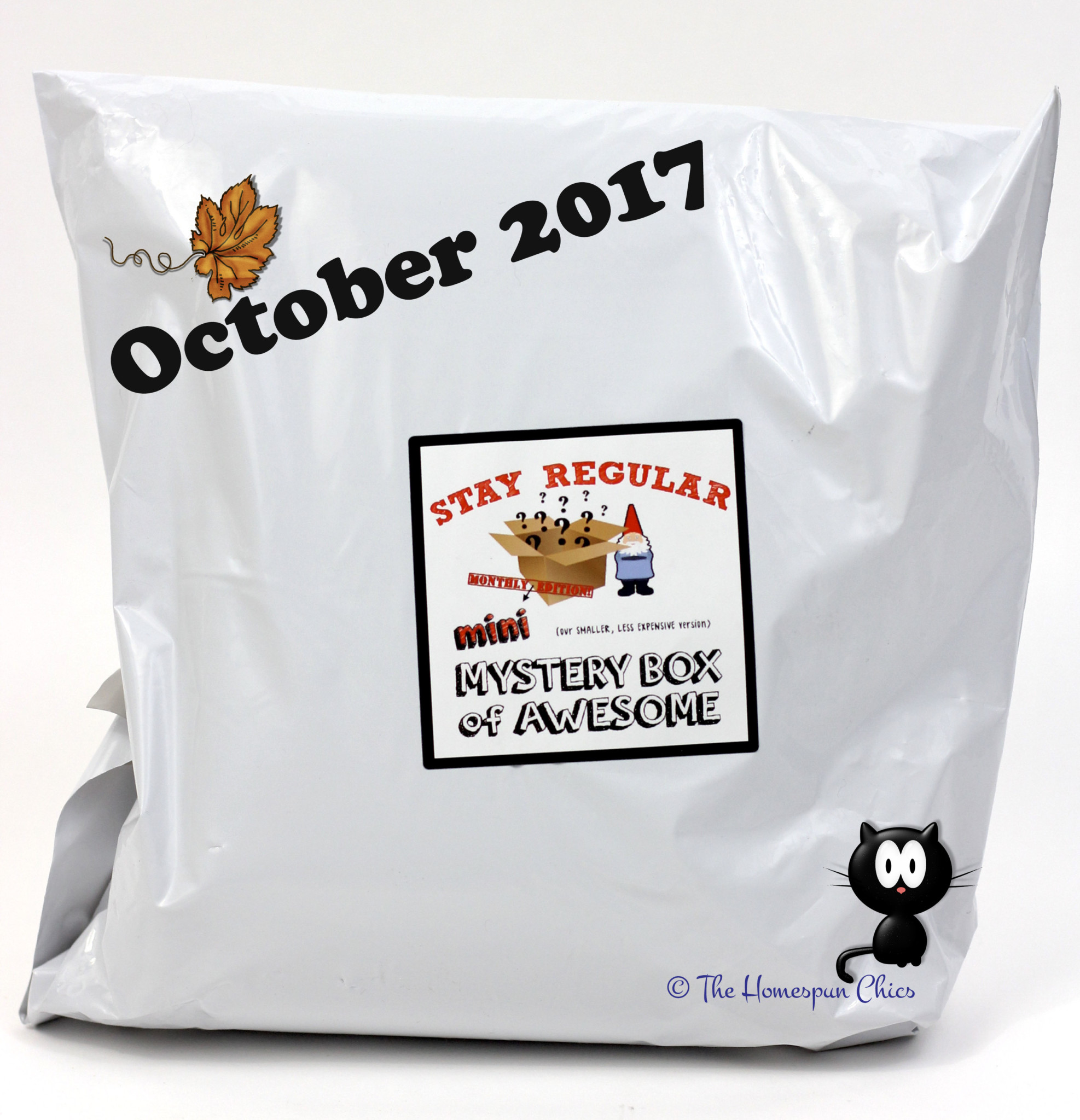 October 2017 Mini Monthly Mystery Box of Awesome Review The Homespun