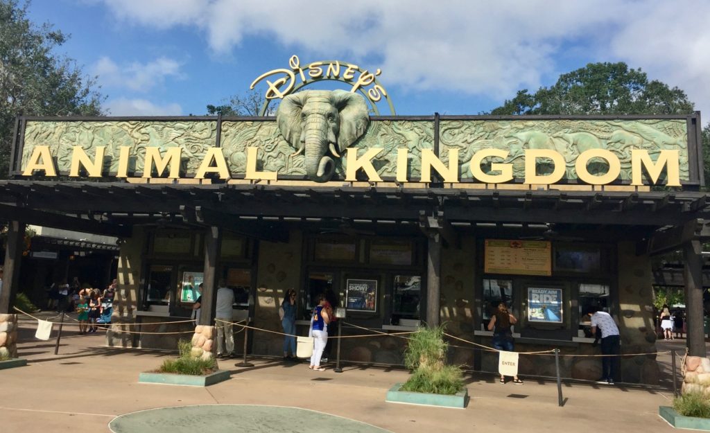 The Ultimate Nights of Adventure VIP Tour Disney’s Animal Kingdom